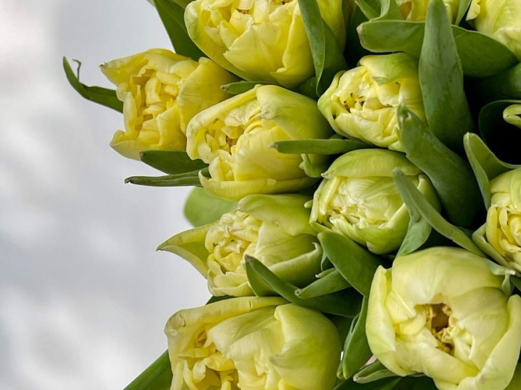 Дорогие женщины, поздравляем вас с Международным женским днём!